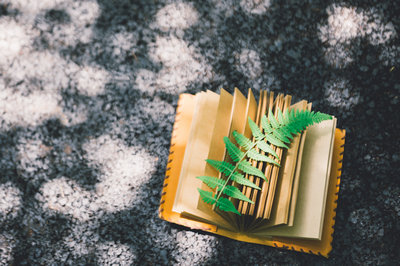 香港浸會大學(xué)國際碩士畢業(yè)頒發(fā)什么證書？